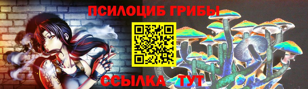 Дагестанские Огни  Псилоцибиновые грибы MAGIC MUSHROOMS  Вход с VPN 